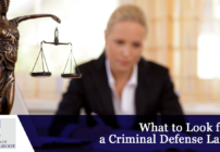 What to Look for in a Criminal Defense Lawyer