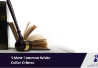 3 most common white collar crimes